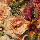 스프링 플라워 이미지