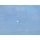 순천만그리고나 이미지