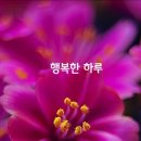 행복한하루 - 태안군 가경주길 4 | 행복한하루