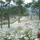 오월(5월) 1 이미지