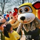 방방코리아 이미지