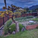 꽃피는 유포리 이미지