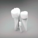 내남의원 이미지