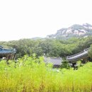 흥선동 작은도서관 이미지