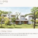 메드스파인(주) 이미지