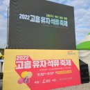 고흥유자석류축제 | 2022 제 2회 고흥유자석류축제 방문후기