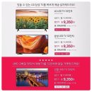 이케이컴퍼니 이미지
