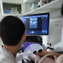 전북동물의료센터 이미지