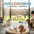 출근길 강아지 유치원 | 수원강아지유치원, 나이 많다고 거절당하셨나요? 스누독 6년 노하우로 더 젊어지는 노견케어 프로그램...