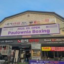 팔로니아 복싱 이미지