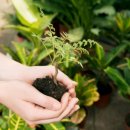 원통환경 이미지