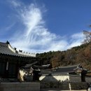 스테이 하냥 이미지