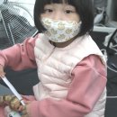 리스펙트기무라주짓수