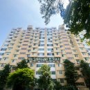 압구정-204 이미지