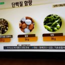 청아수석곤충나라