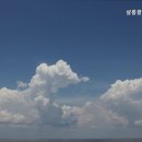 강서구 청소업체, 샬롬클린앤홈케어 입주/거주 전문, 감동 청소 후기