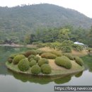 수목다실 이미지