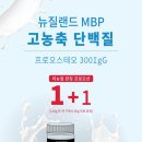 뉴질랜드1642대구범어점