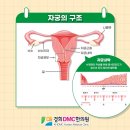 경희DMC한의원 이미지