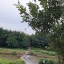 희망공원사거리 안양무역센터 앞 | 251001 ~ 251008 맷돌로만, 인덕원교, 그리고 추석 연휴