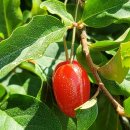 검산 농장 이미지