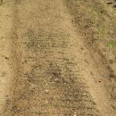 천왕농장 이미지