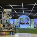 케이투어오퍼레이팅 | 2025 서울특별시 관광 마케팅 오퍼레이팅 서포터즈 합격 후기 + 서울관광플라자 썸머스쿨 관광 브랜딩...