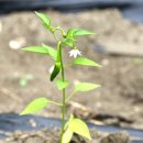 장암농장 이미지