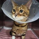 범 동물병원 이미지