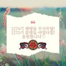 11월20일(토) 백령도,연평도,강화도(+전국)날씨정보 이미지