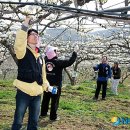 신왕2리마을회관 이미지