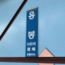 응봉개나리어린이공원 | 응봉산 개나리축제 가는방법 팔각정 구경 꿀팁