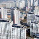 한솔리치빌공인중개사사무소 | [LH 전세임대] 신혼▪︎신생아 전세임대Ⅱ후기 (2) (주택 물색 및 가계약)