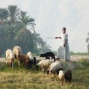 새로운교회 앞 이미지