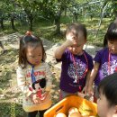 세은농장 이미지