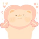 레인바우애견카페 이미지