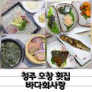 바다사랑 | 스끼다시 잘나오는 오창 횟집 추천 바다회사랑 2인 A세트 후기