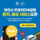 주정차단속-23 뉴시스