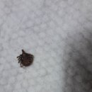 동산주유소 이미지