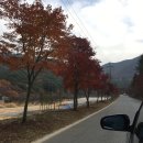 하대동257 이미지