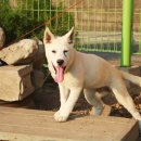 영국이네민박 이미지