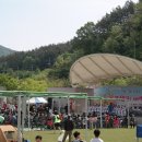 고령군 희망의 새싹 큰잔치 | 제15회 고령군 희망의 새싹 큰 잔치 (어린이날 행사)