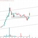 일성트레이딩 이미지