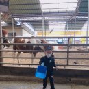 통진목장 이미지