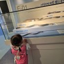 🐡가을소풍-국립해양생물자원관 씨큐리움 2탄🐡 이미지