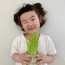 로아의 보리씨앗🌱 이미지