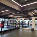 한국복싱다이어트 이미지