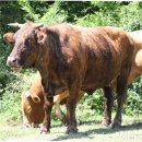 형민농장 이미지