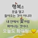 지나간일은 이미지