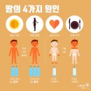 땀PT 이미지